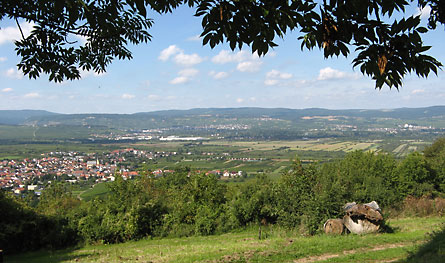 Männerseminar 2010 (Bild: Blick ins Rheintal)