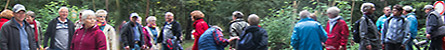 Berichte (Bild: Banner Wanderung 2014)